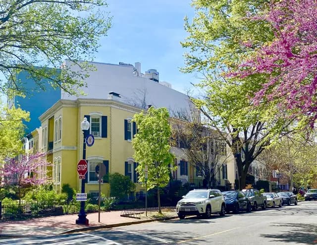 Foggy Bottom & West End