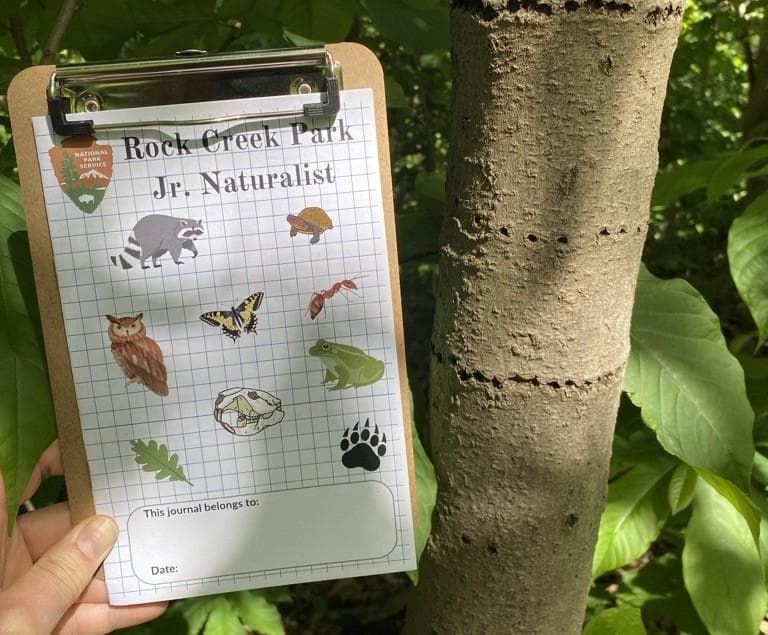 Be a Junior Naturalist Hike