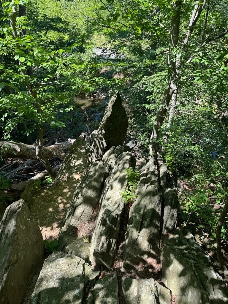Roosevelt at Rock Creek Park