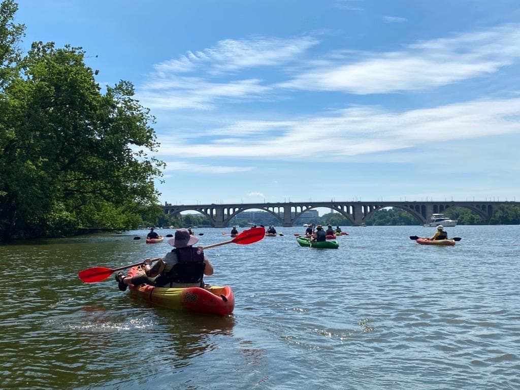 Paddle Through Nature: The Potomac by Kayak