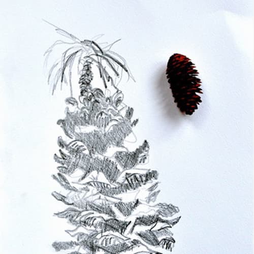Autumn Sketching in the Smithsonian Gardens - In Person