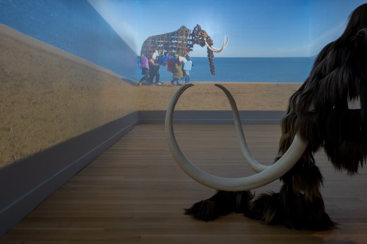 <em>Mammoth</em> Performance (Evening)