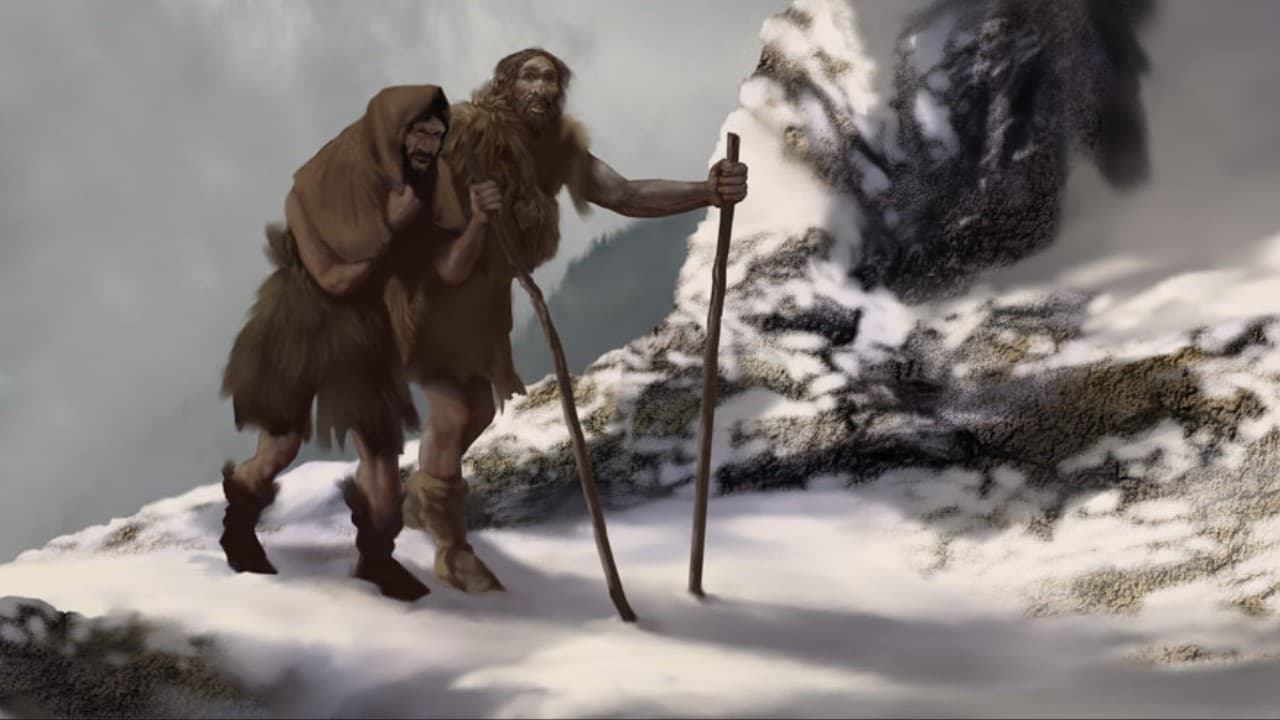 Neandertal Adaptations to Ice Age Eurasia: Warmbloods in Cold Times