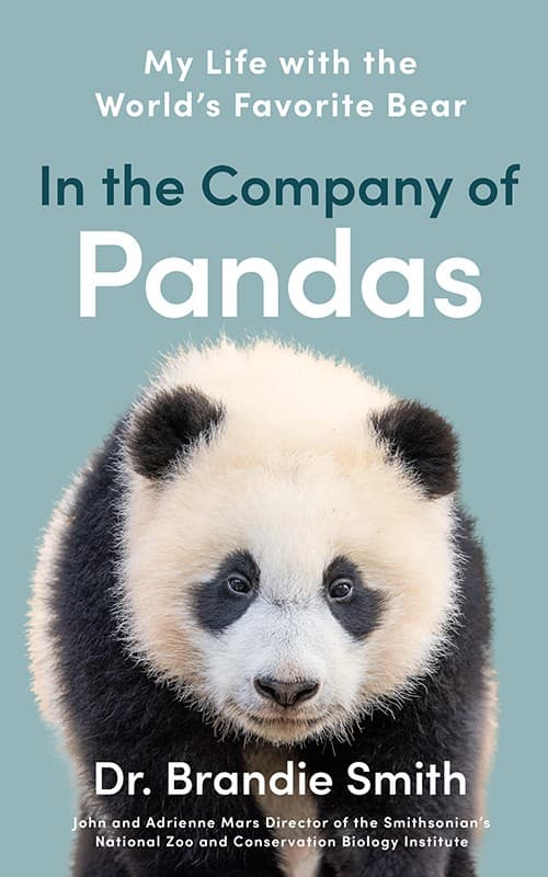 In the Company of Pandas