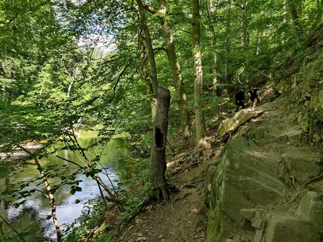 Rock Creek Park