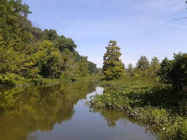 Theodore Roosevelt Island